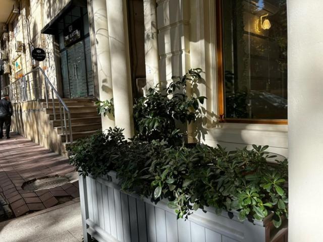 Karat Inn Boutique Hotel Baku Exteriér fotografie